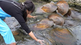 😱🐚 The girl opens the mutated giant river clam, with jewelry piled up in front of her