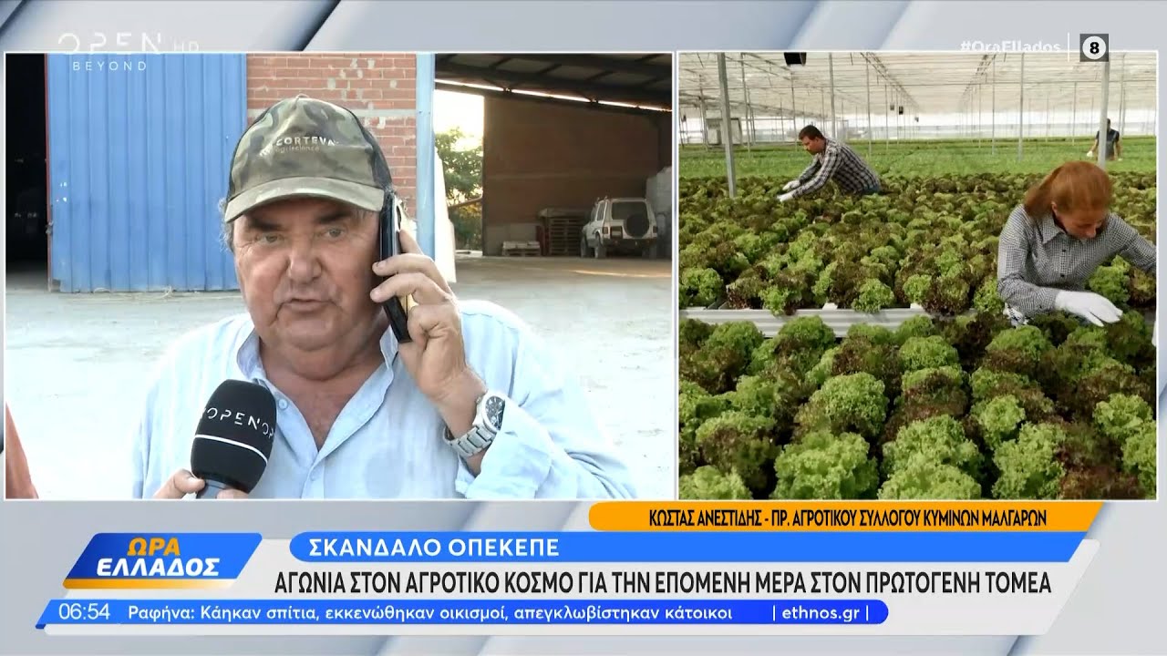 ΟΠΕΚΕΠΕ: Οι διάλογοι της ντροπής και οι καταγγελίες  | Ethnos