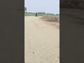 Long Drive || Bareilly to ladak #subscribe #support #shortvideo