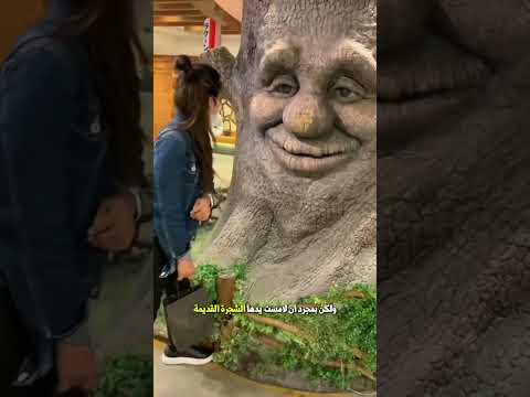 شجرة لها وجه ينبض بالحياة