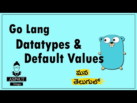 Datatypes in Go Lang Telugu Tutorial