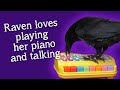 Fable the Raven | Hang out with Fable and her piano | Chatting and hidden camera