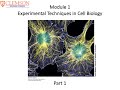 01 Cell Biology Module 1 Part 1