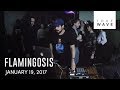 Flamingosis live set  11917  truewave tv