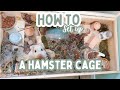 How to set up a hamster cage  upgrading natural hamster enclosure