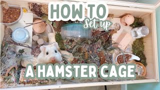 How to set up a hamster cage | Upgrading natural hamster enclosure