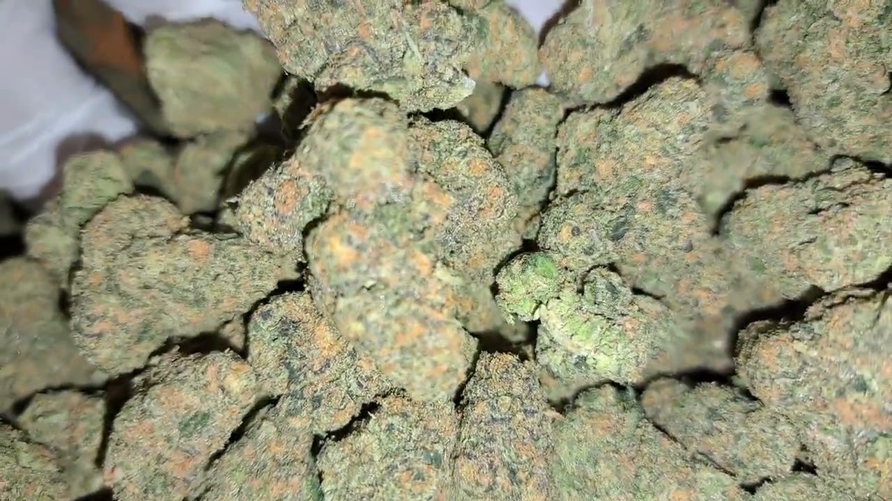 Cookies n Cream by Exotic Genetix