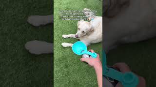 Comment “Paw” if your pup need this upgrade! 🐾✨#petcare #doglife #petessentials #doglover #dogmom