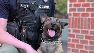 Meet "Mozes" Marietta Police Department's newest K9