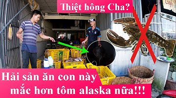 CHỢ MIỀN TÂY, CẢNG CÁ TẮC CẬU. Lần Đầu Nhìn Thấy Con  Này Mắc Hơn Tôm Hùm Alaska.