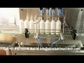 Pesticide Filling &amp; Packaging Line | Servo Gear Pump Filler, Capper, Induction Wad Sealer Labeller