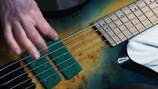 Synapsa - Bleed Inside (bass playthrough)