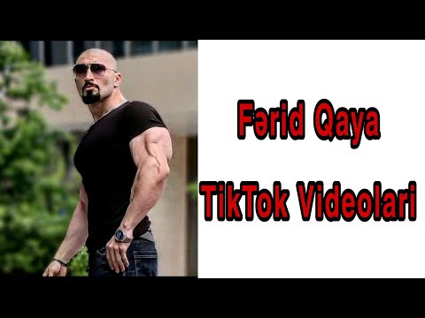 Video: Hansı qaya fərmandır?