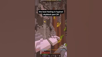 the best feeling in hypixel skyblock 24 #hypixelskyblock #hypixel #minecraft