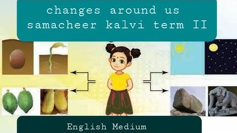6th std term 2 / lesson 3 changes around us I samacheer kalvi book I explained in tamil and english