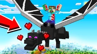 HOW TO TRAIN YOUR ENDER DRAGON!