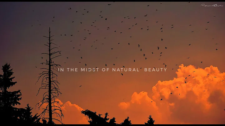 Nature- cinematic video || by rahul thukral ||