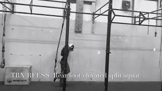 TRX RFESS (Rear foot elevated split squat)