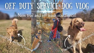 Off Duty Service Dog Vlog | New trail, off leash obedience training, and finding a stream!