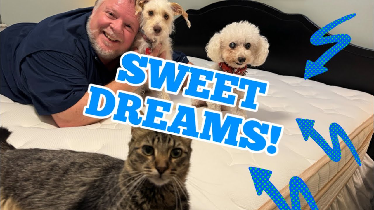 BedStory Luxury Hybrid Firm Mattress Review | Best Mattress for Back Support & Comfort