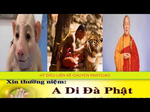 Video Truyện Phật Giáo Hay Nhất, Những Câu chuyện Nhân Quả... - youtube