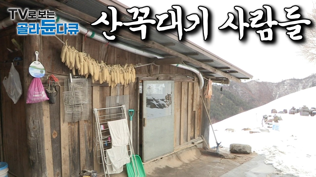 산꼭대기에 집 지어놓고 사는 사람들은 무슨 일을 하며 뭘 먹고 살까?｜산꼭대기 사람들｜한국기행｜#골라듄다큐