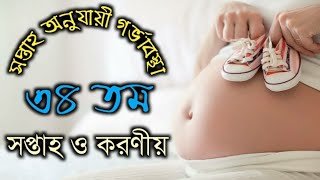 সপ্তাহ অনুযায়ী গর্ভাবস্থা ৩৪ সপ্তাহ | soptaho onujayi gorvabostha 34 | 34 week pregnancy in bangla