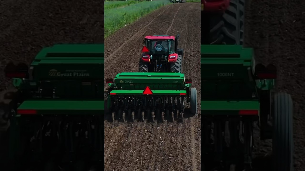 Backwoods attractions seed blends are the way to go 