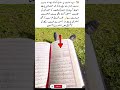 He Spent His Free Time Reciting the Quran While the Camel Rested 🐪📖#viralvideo#youtubeshorts#viral