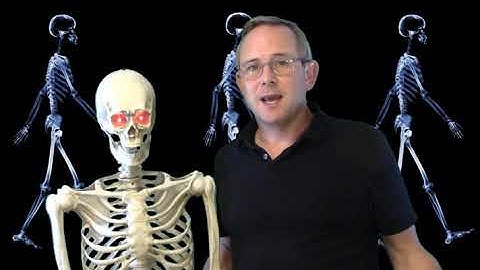 Soft Tissue Mechanics Intro