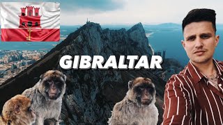 Meet The Only Wild Colony Of Monkeys In Europe // Gibraltar Travel Vlog