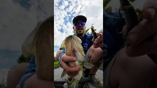 CALLED MY SHOT! Hidden Bass DESTROYS My Bait in Heavy Cover 🎣🔥