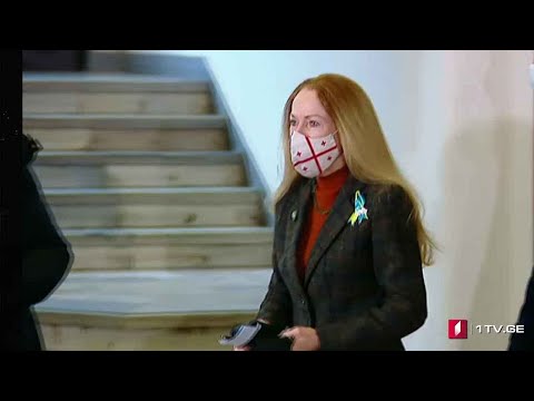 კელი დეგნანი საქართველოს პარლამენტში