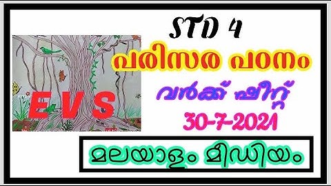 Class 4 EVS Worksheet July 30/4 th std evs worksheet 30/7/21/Std 3 evs worksheet 30/7/21/ Mal medium