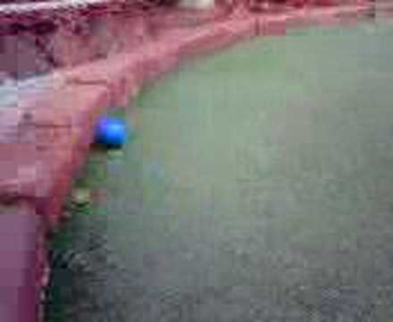 Putt Putt