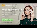 Нервная система | БИОЛОГИЯ ЕГЭ | Лина Клевер