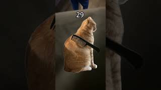 I liek my suitcase