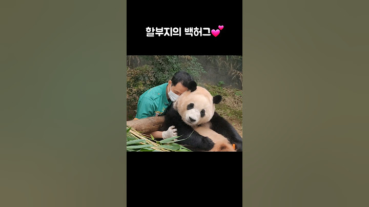푸바오 꼬옥 안아주는 할부지💕 #푸바오 #Fubao #panda