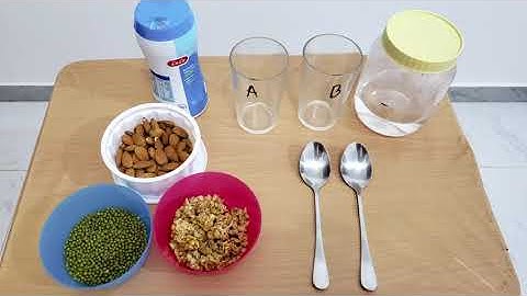 || Science project || Comparing Heterogeneous mixtures and homogeneous mixtures ||