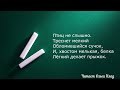 Александр Твардовский &quot;Лес осенью&quot; Читает Ольга Клад