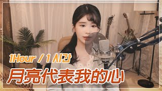 [1hour/1시간]  등려군 - 월량대표아적심 (月亮代表我的心) (영화 '첨밀밀') COVER