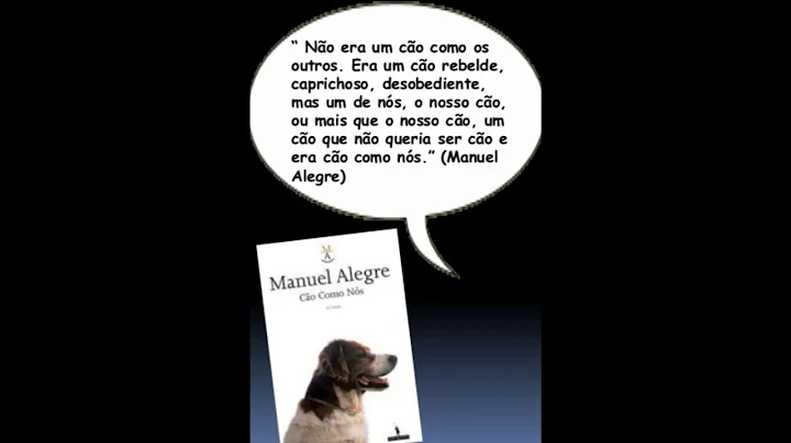 Prof  Cidlia Lopes 1