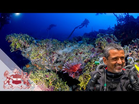 Exploring the Coral Reef's Twilight Zone | Luiz Rocha