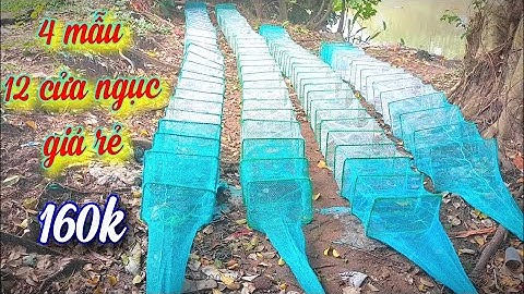 Bán 4 mẫu 12 cửa ngục giá rẻ giá rẻ nhất hiện nay