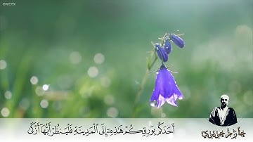 سورة الكهف كاملة بصوت القارئ الشيخ حازم حريري