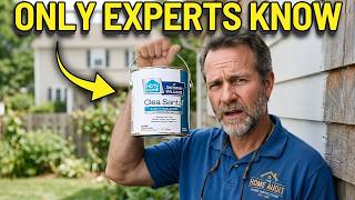 5 CHEAP Paint Brands EVERYONE IGNORES (But They're Absolute GOLDMINES)
