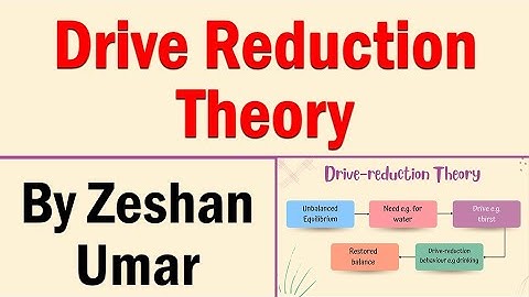 Hull Drive Reduction Theory of Motivation by Zeshan Umar