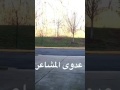هبة جمال حريري عدوى المشاعر