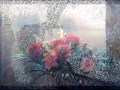 جوزيف حبيت عيونك   YouTube