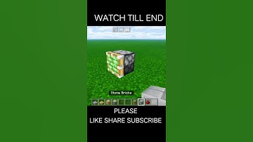 Minecraft Wait Till End #shorts #roadto10k